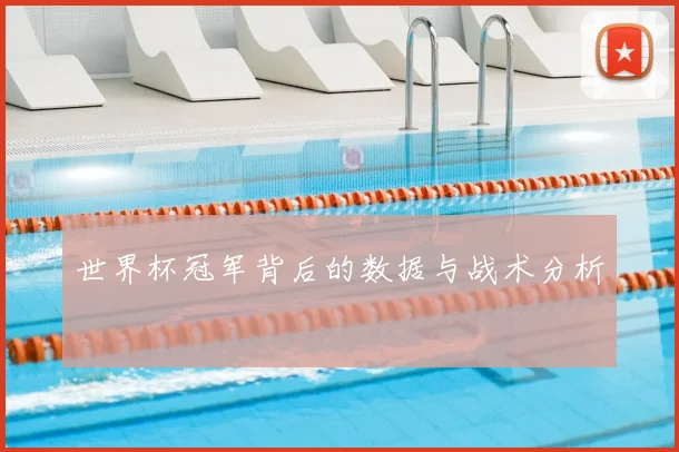 世界杯冠军背后的数据与战术分析
