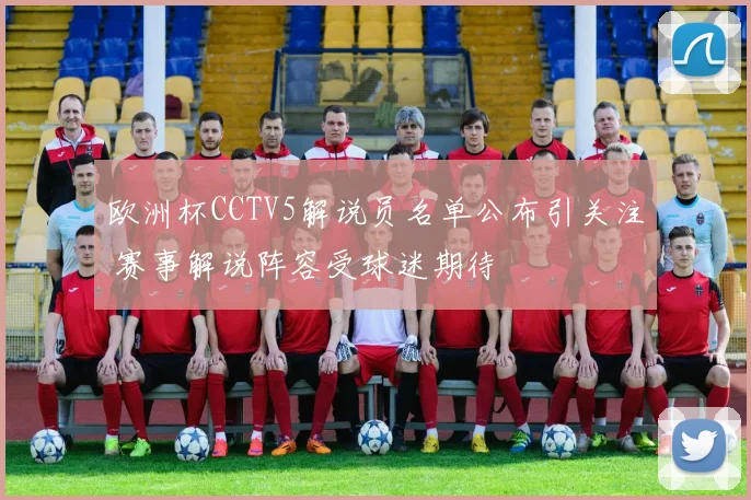 欧洲杯CCTV5解说员名单公布引关注 赛事解说阵容受球迷期待