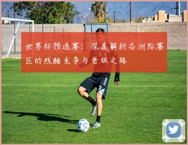 世界杯预选赛：深度解析各洲际赛区的残酷竞争与晋级之路