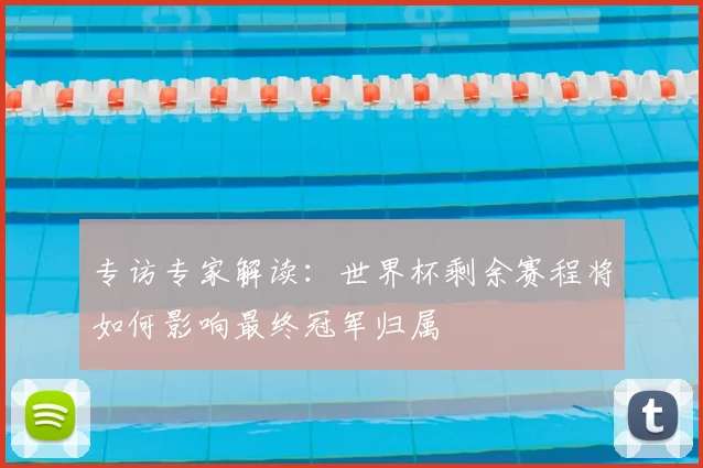专访专家解读：世界杯剩余赛程将如何影响最终冠军归属