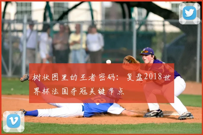 树状图里的王者密码：复盘2018世界杯法国夺冠关键节点