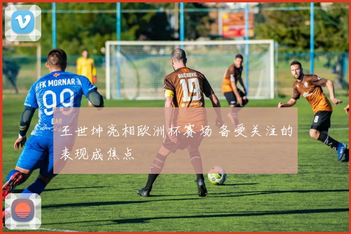 王世坤亮相欧洲杯赛场 备受关注的表现成焦点