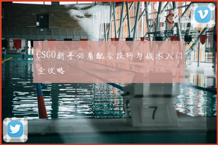 CSGO新手必看配合技巧与战术入门全攻略