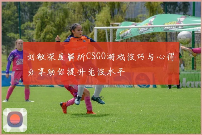 刘敏深度解析CSGO游戏技巧与心得分享助你提升竞技水平