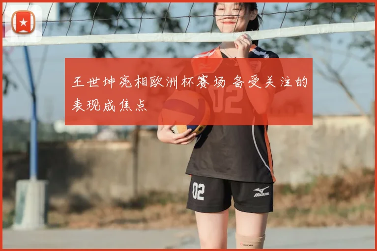 王世坤亮相欧洲杯赛场 备受关注的表现成焦点