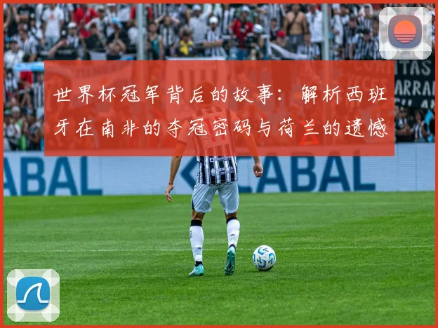 世界杯冠军背后的故事：解析西班牙在南非的夺冠密码与荷兰的遗憾。