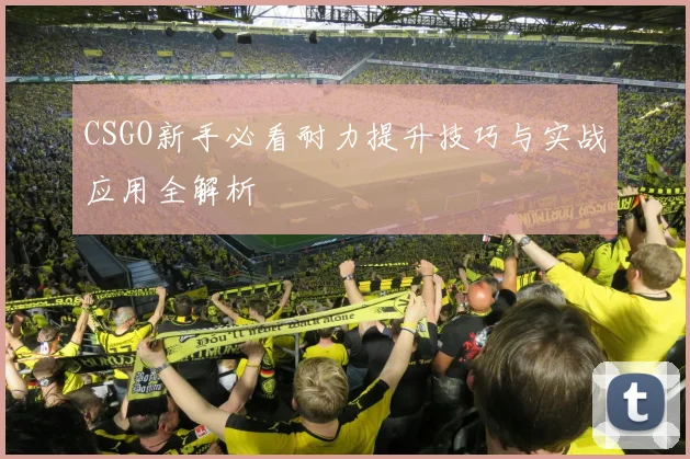 CSGO新手必看耐力提升技巧与实战应用全解析