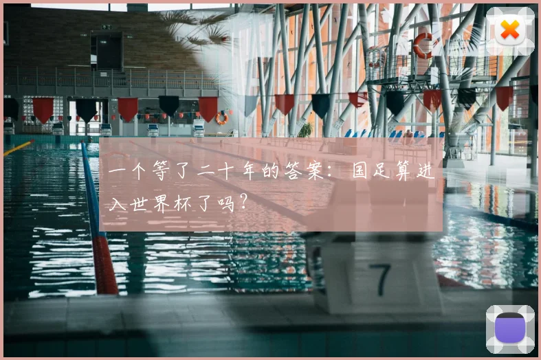 一个等了二十年的答案：国足算进入世界杯了吗？