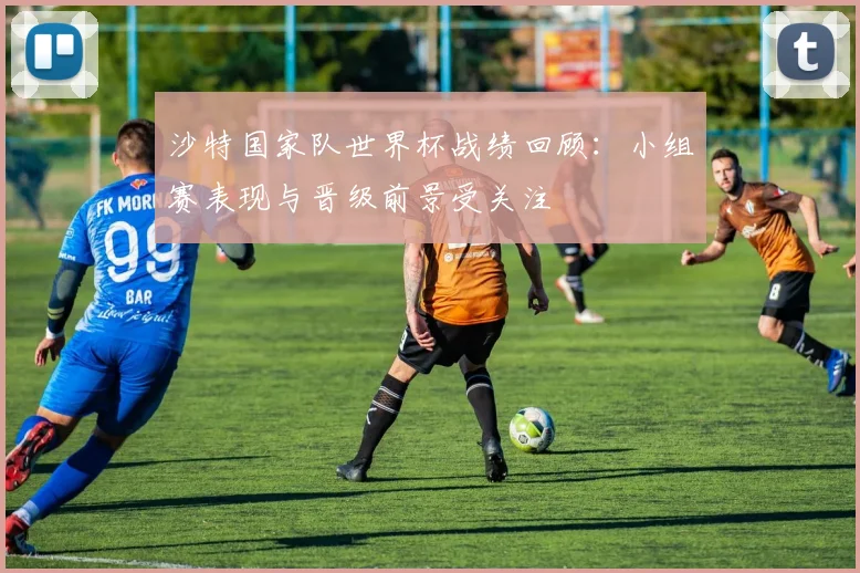 沙特国家队世界杯战绩回顾：小组赛表现与晋级前景受关注