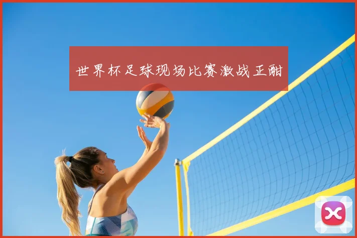 世界杯足球现场比赛激战正酣