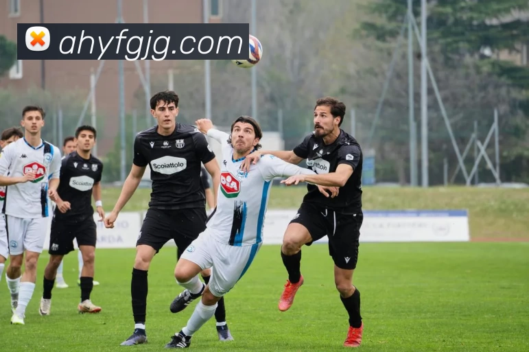 华体会体育发展历程